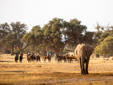 Namibia Horse Safari